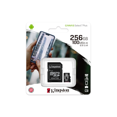 MEMORIA TRANSFLASH 256GB KINGSTON